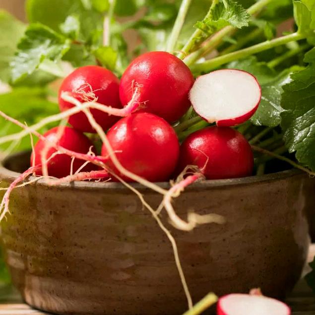 郑州航空港区梁红爱戏曲🔥