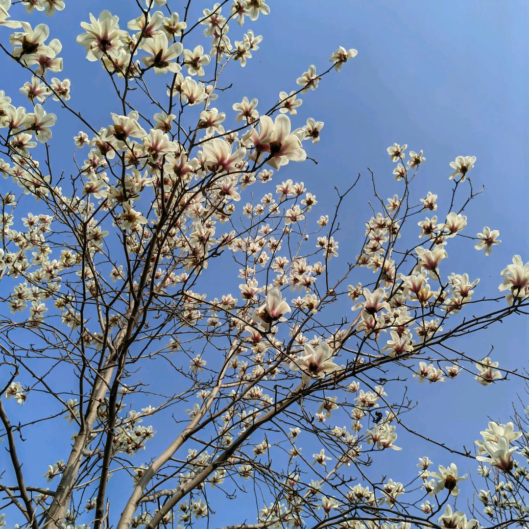 @万佳男装@RAN   DAN  DAN