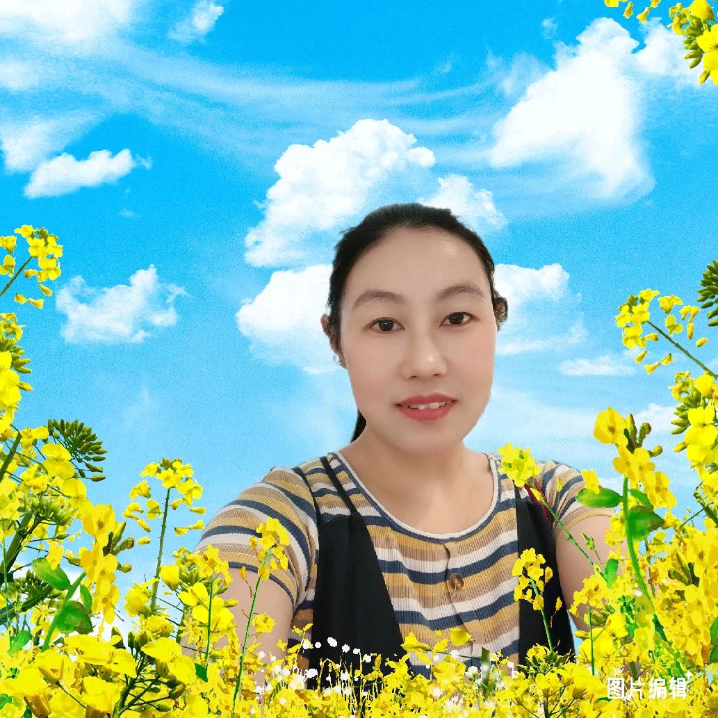林三