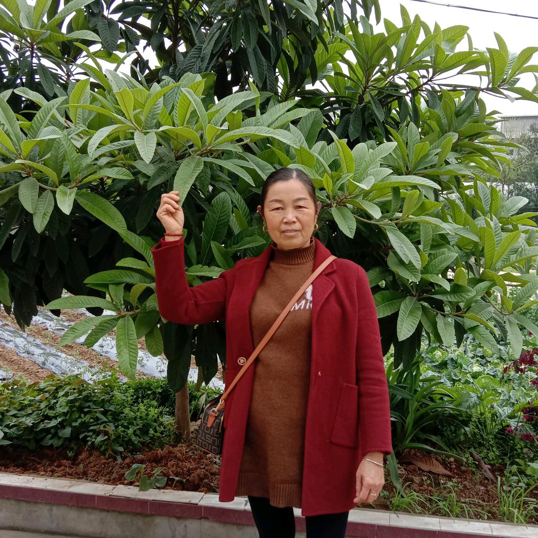 代玉华