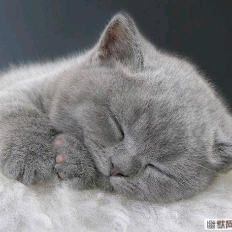 งᥫᦸᐝ觉ོ࿆ྃ醒