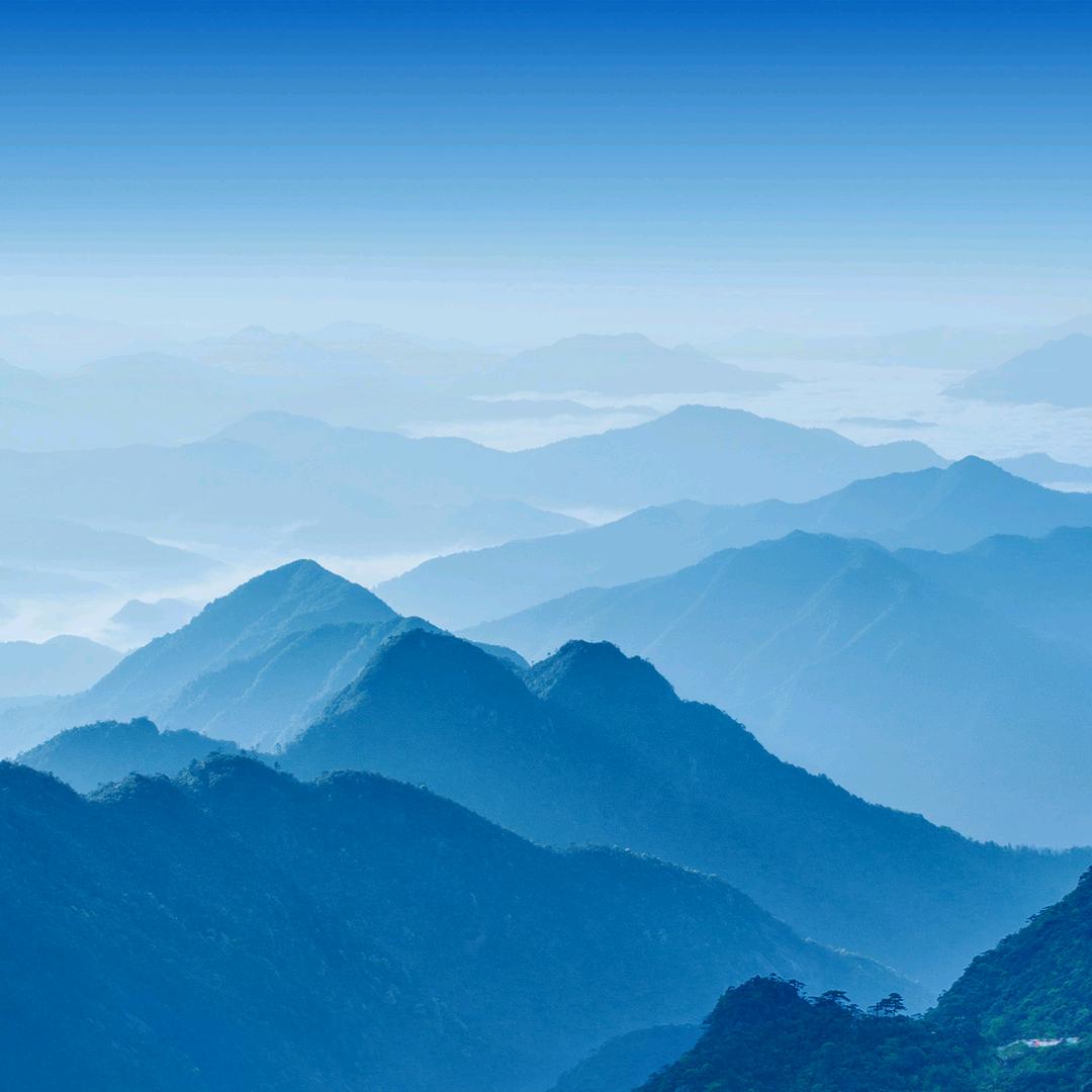 正山古茗