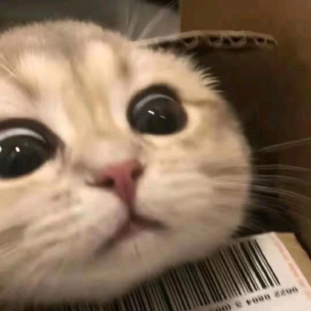 搞笑君