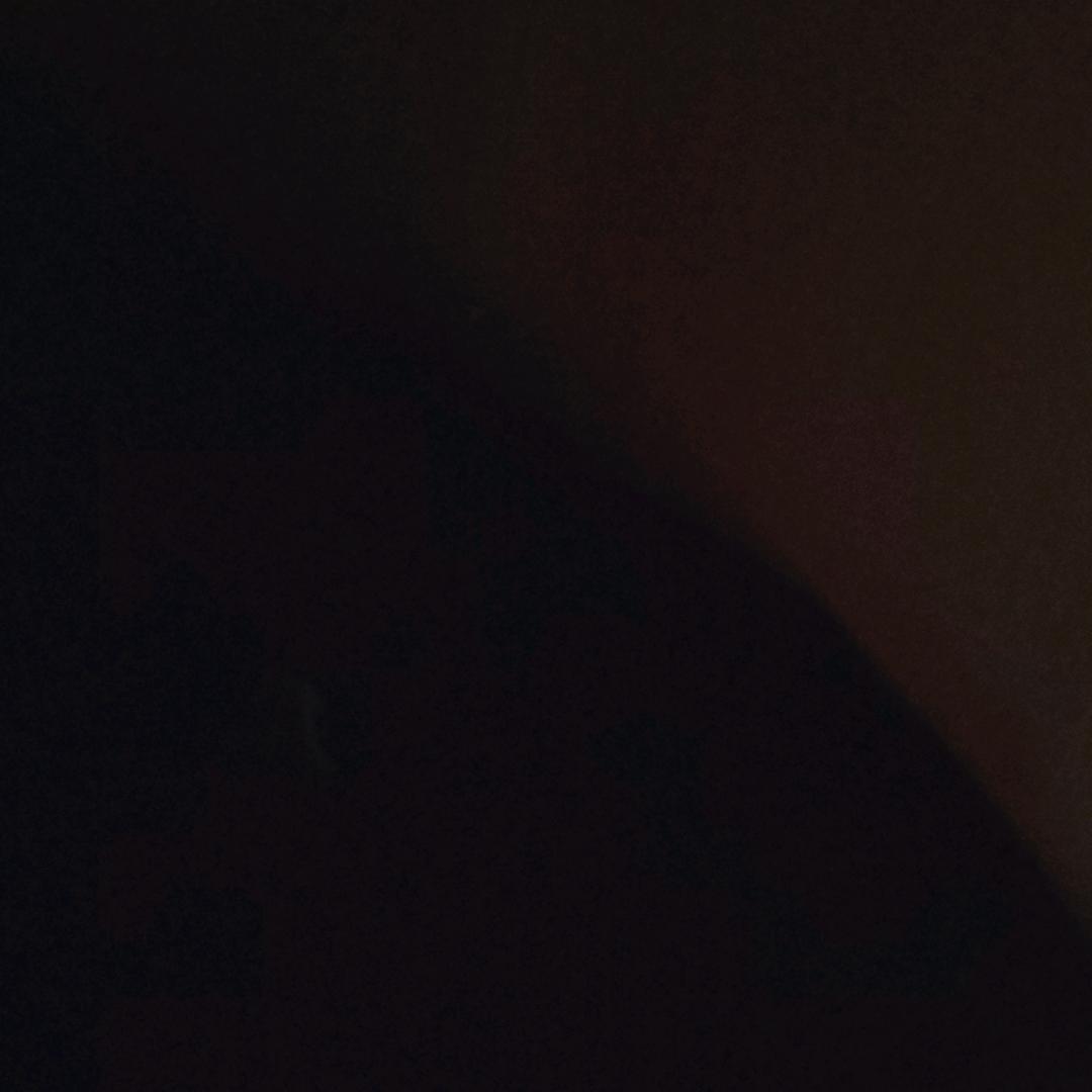 东张西望