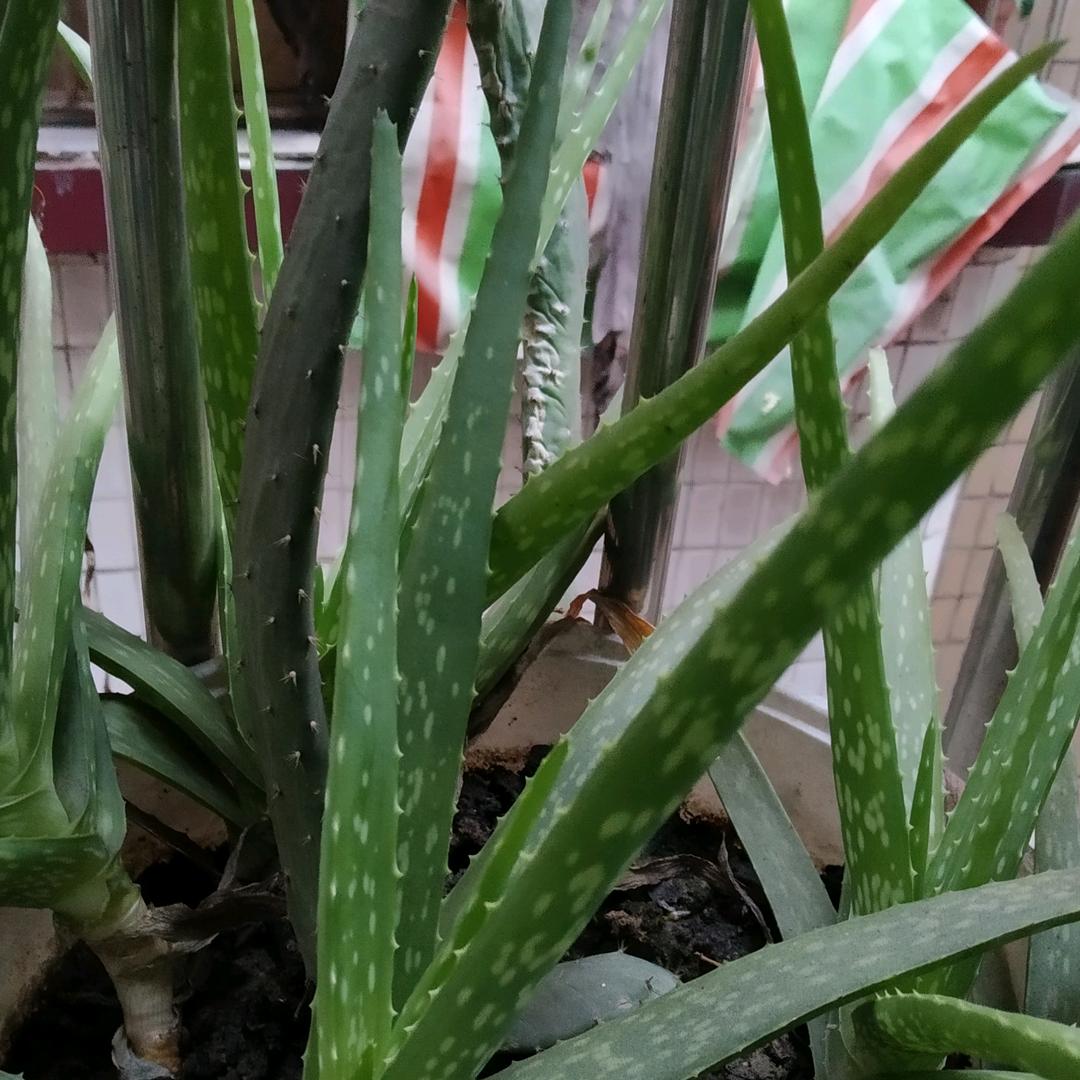 天涯海角