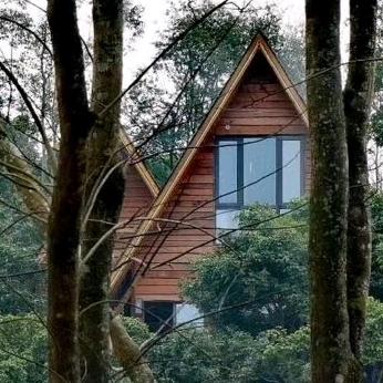 山水畔树屋官方号