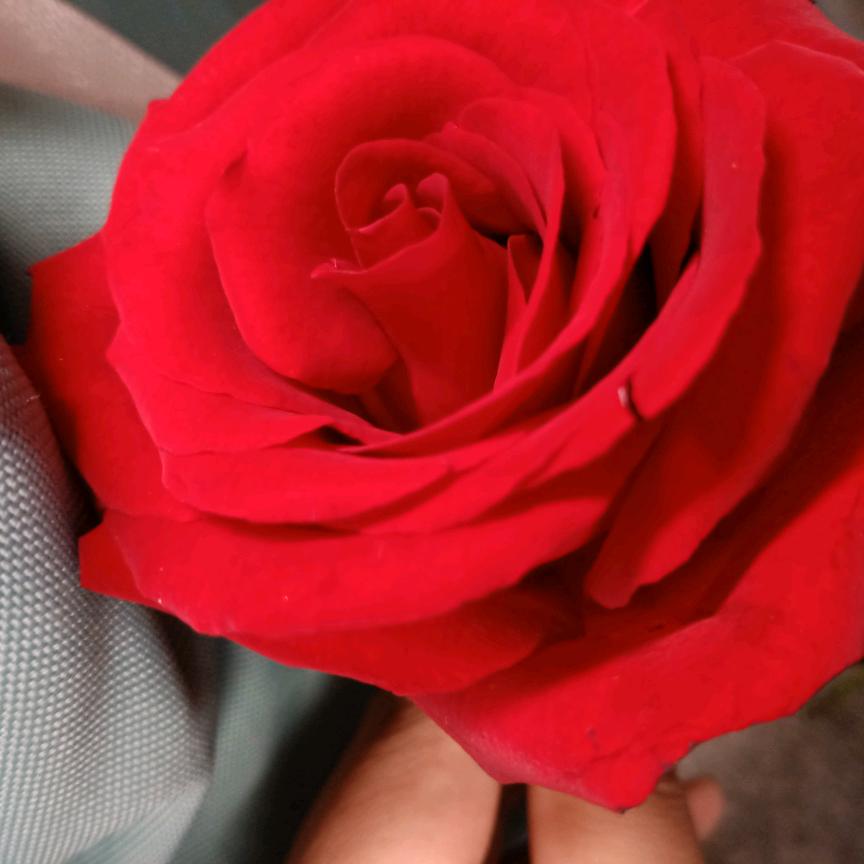 冰🐬🐬🍎🍌瑜