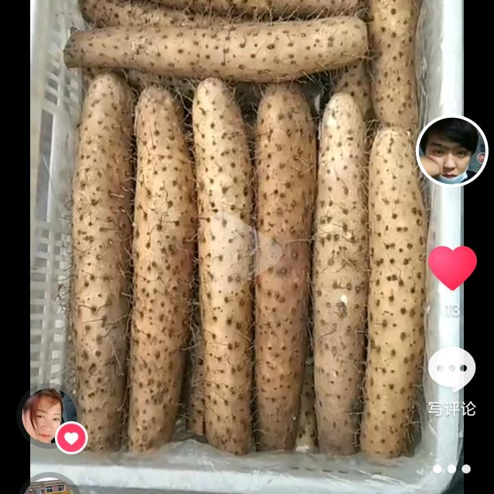 平度蔬菜购销……杨孟孟