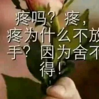 32号嫁给你