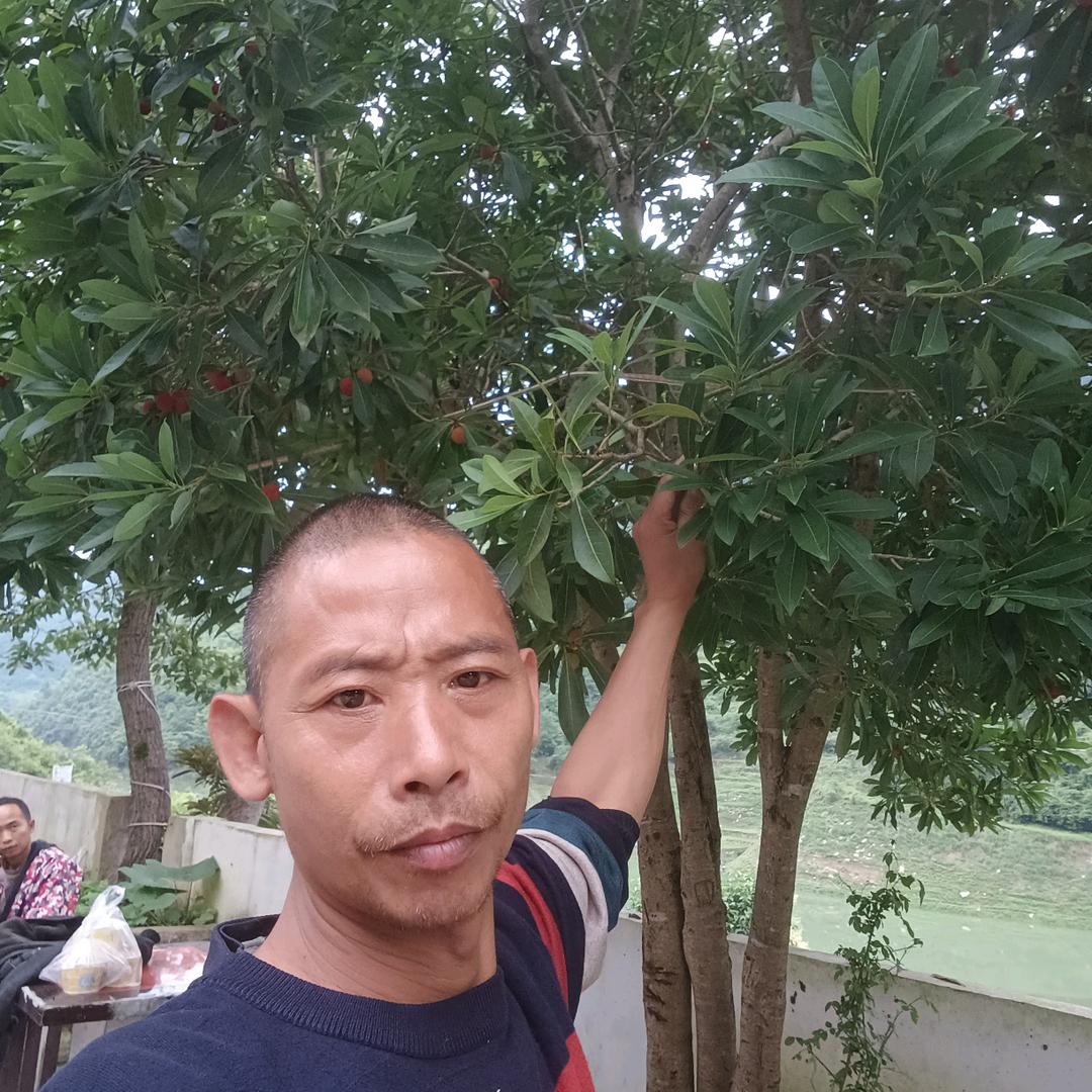 李友权