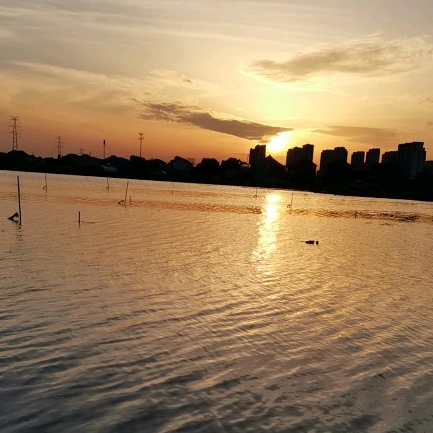 黑化肥挥发会发灰