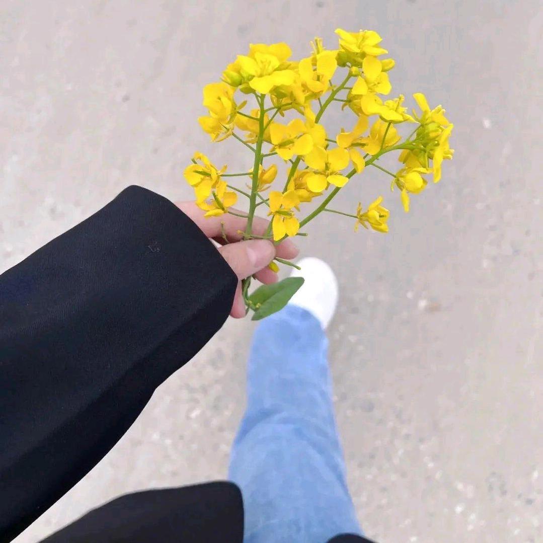 🌹总有一天🌹