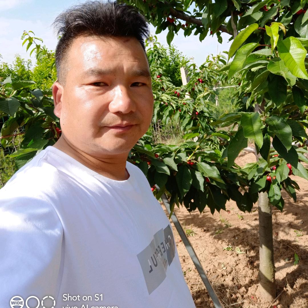 开心的羊哥