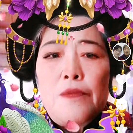 梅德枝