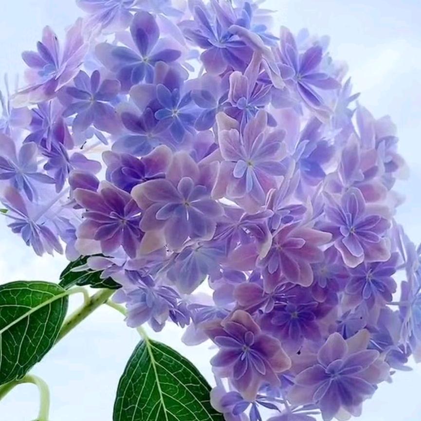 似水流年