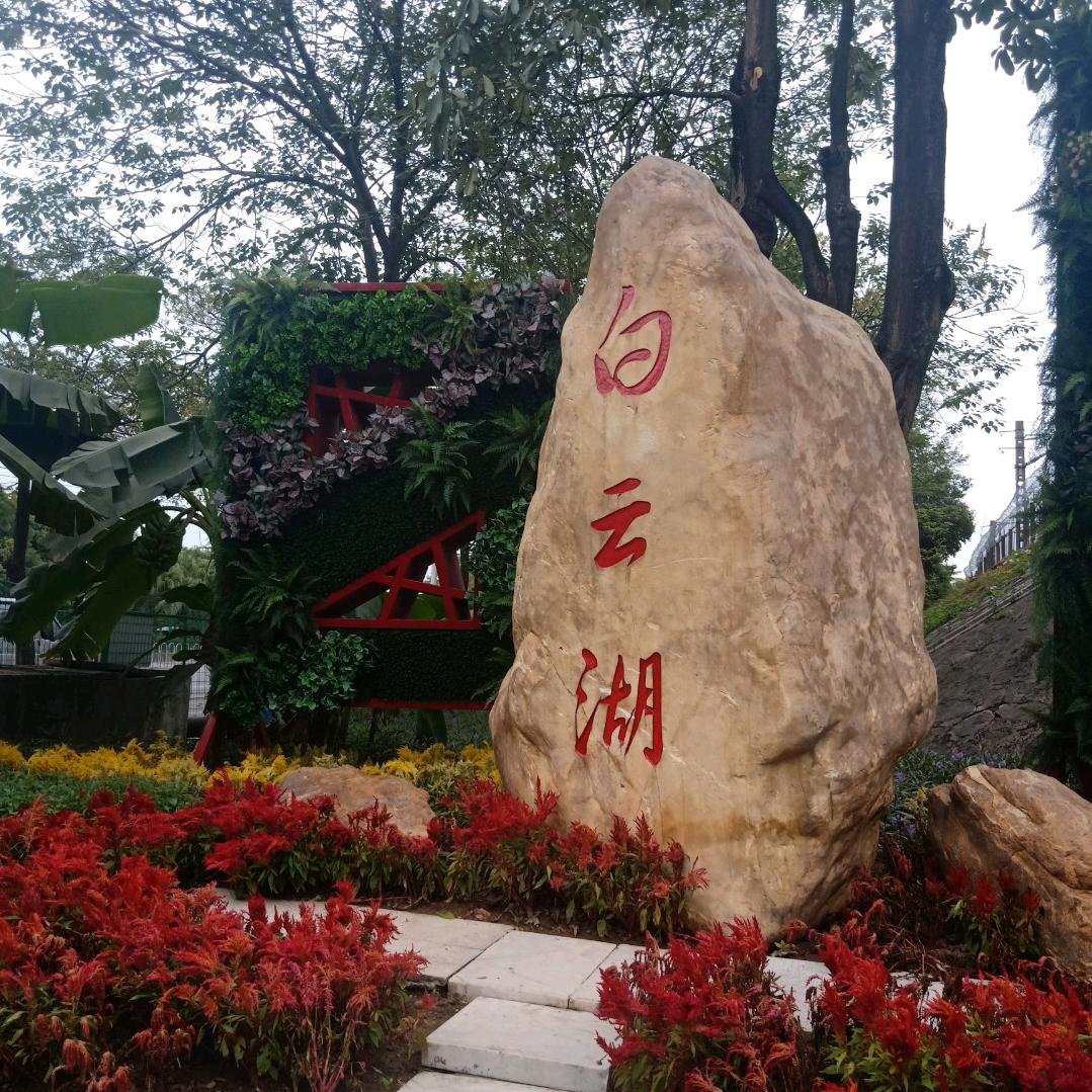 张哥