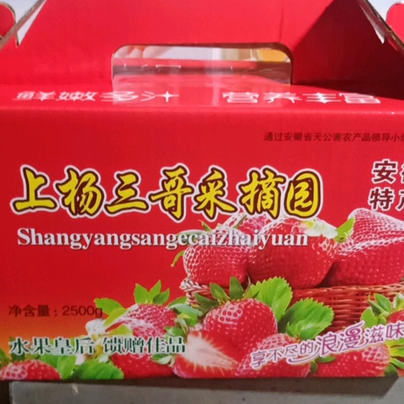 三哥草莓采摘园