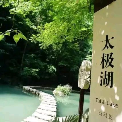 峰哥带你去旅行