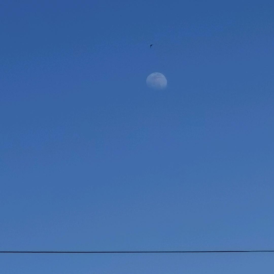 06011