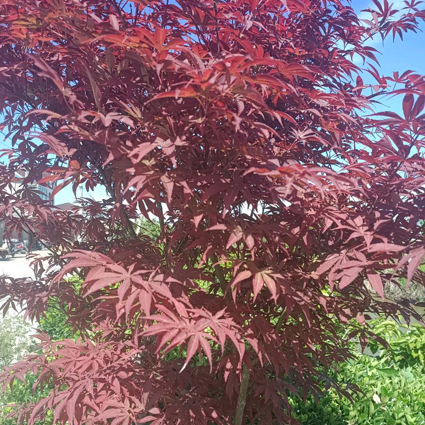 滨海八滩❤️