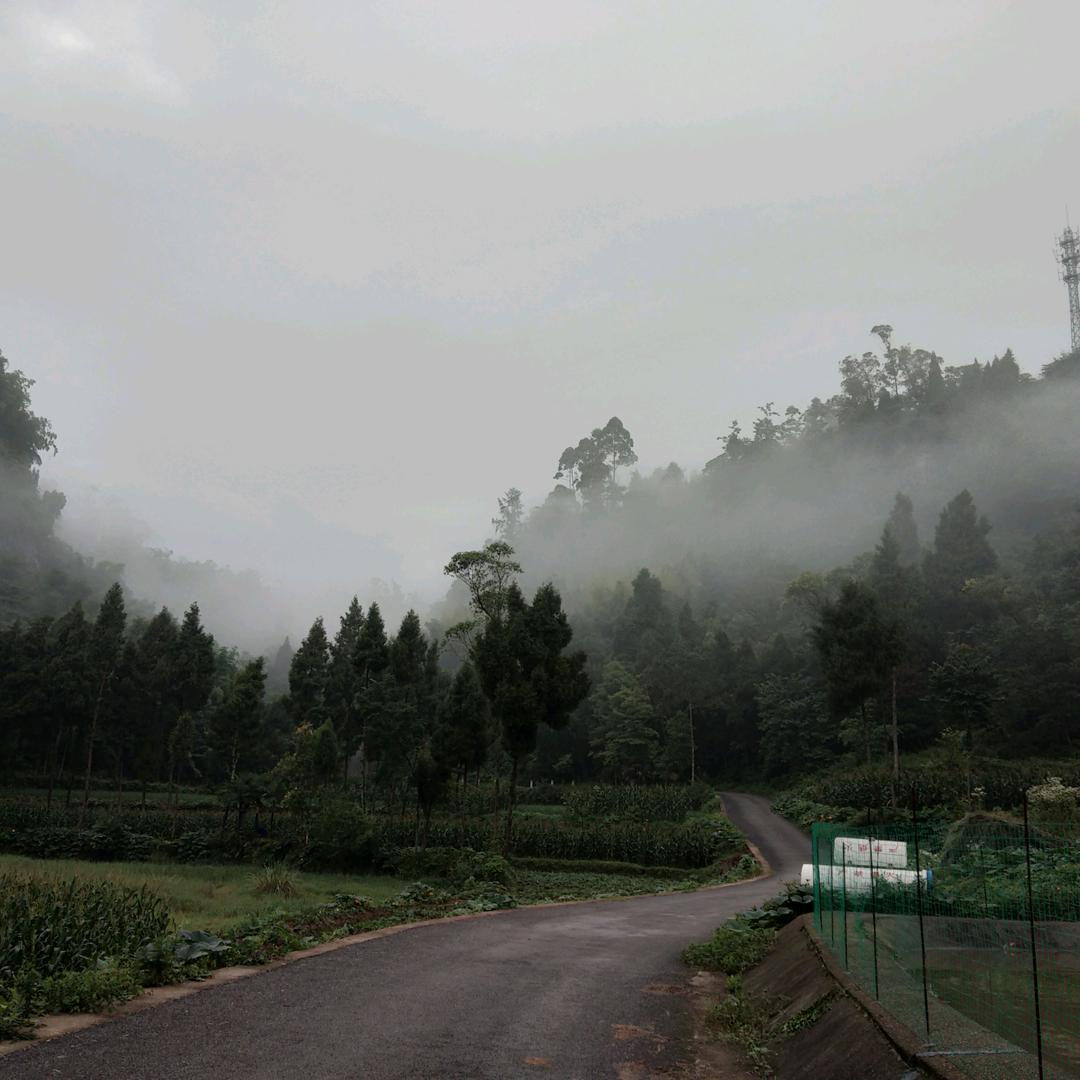 天山狂生