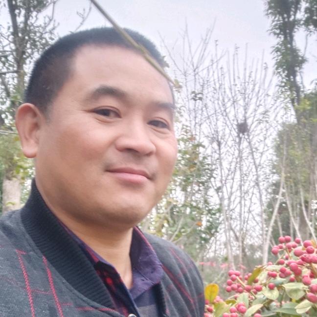 手机用户778664183喜乐平安