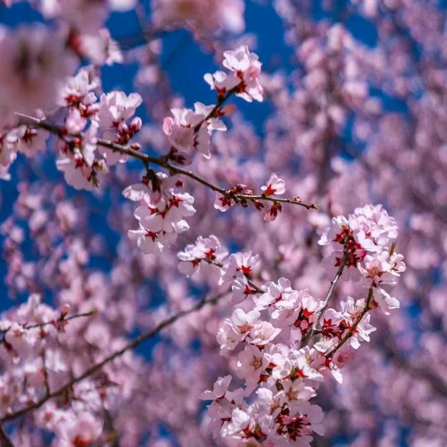 往事⭐️⭐️⭐️