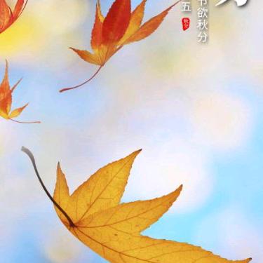 雨芯