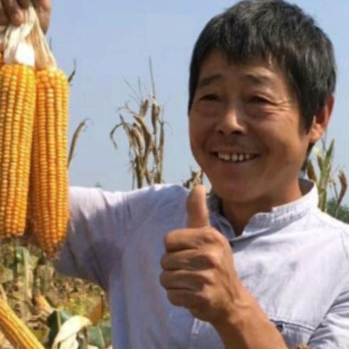 为农为己“打工人”