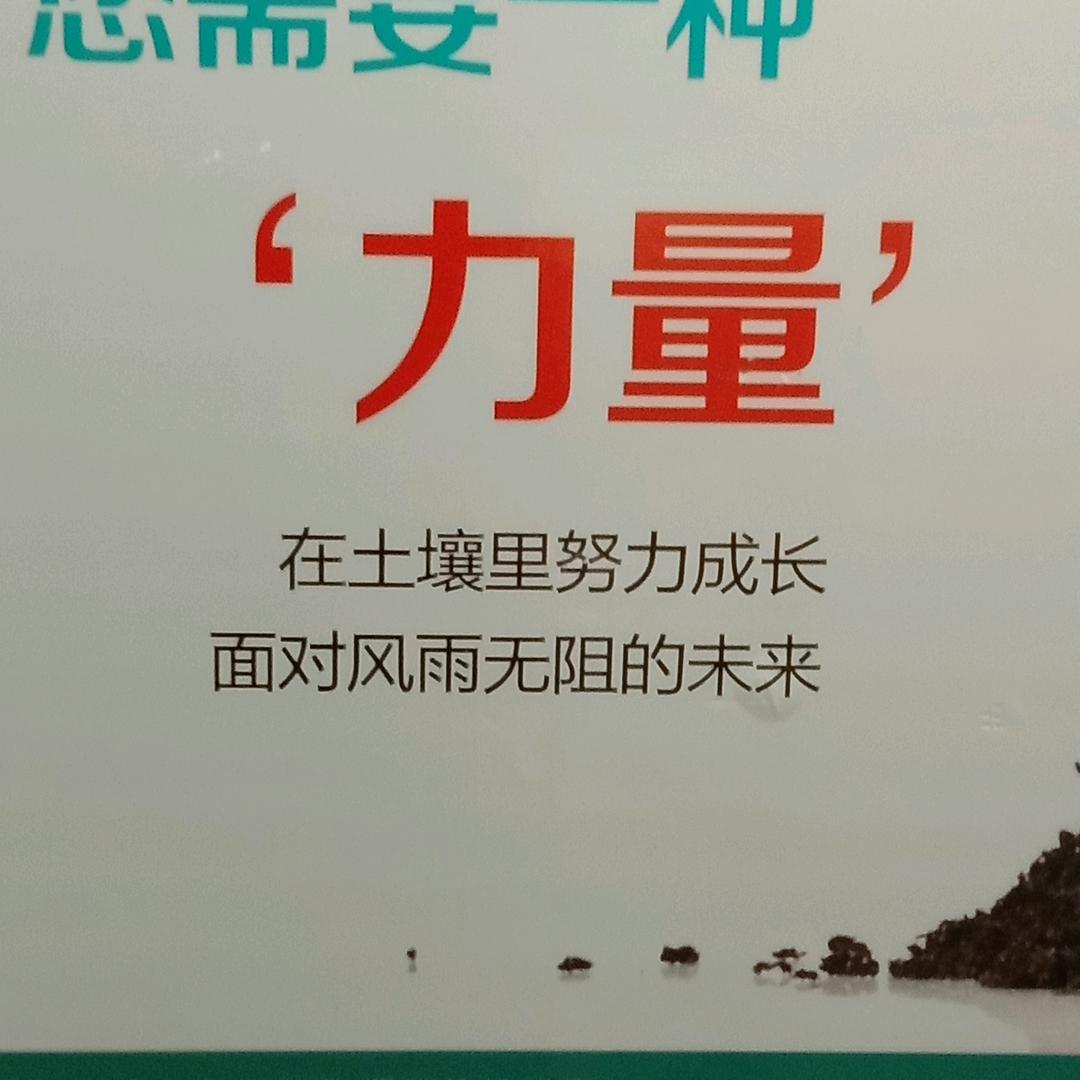 展望未来