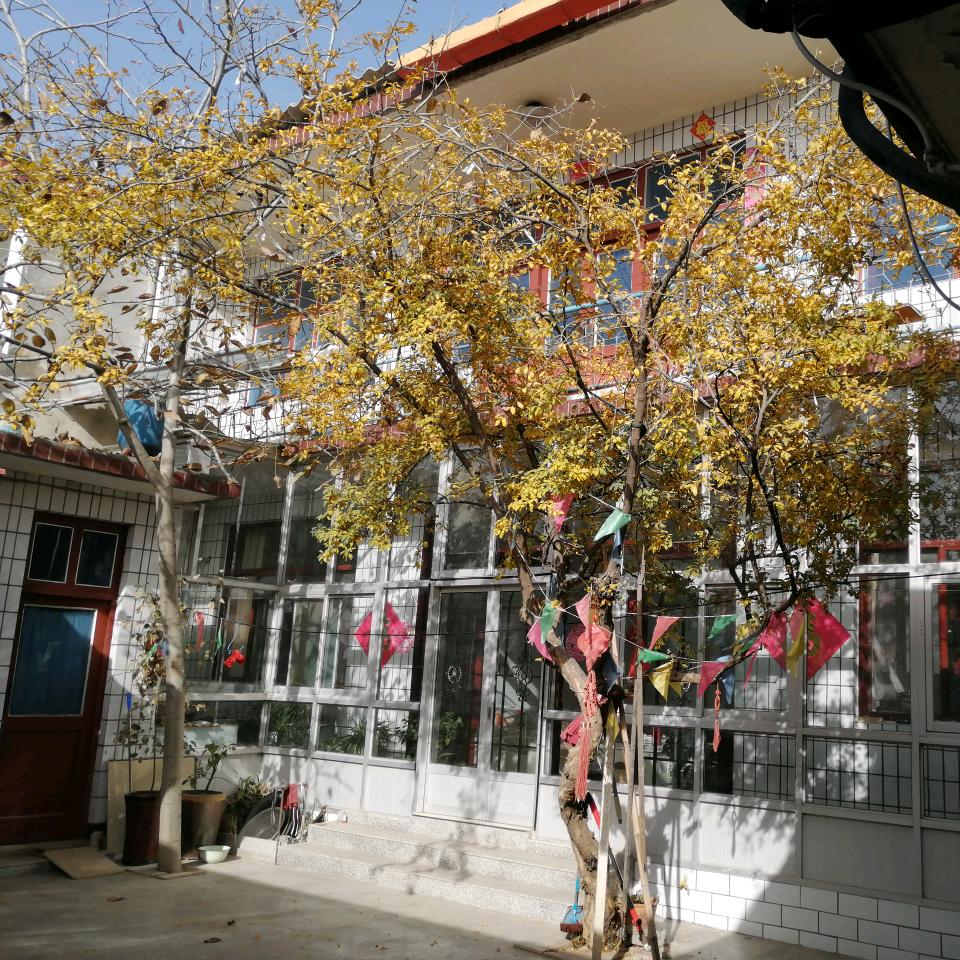 9817杰