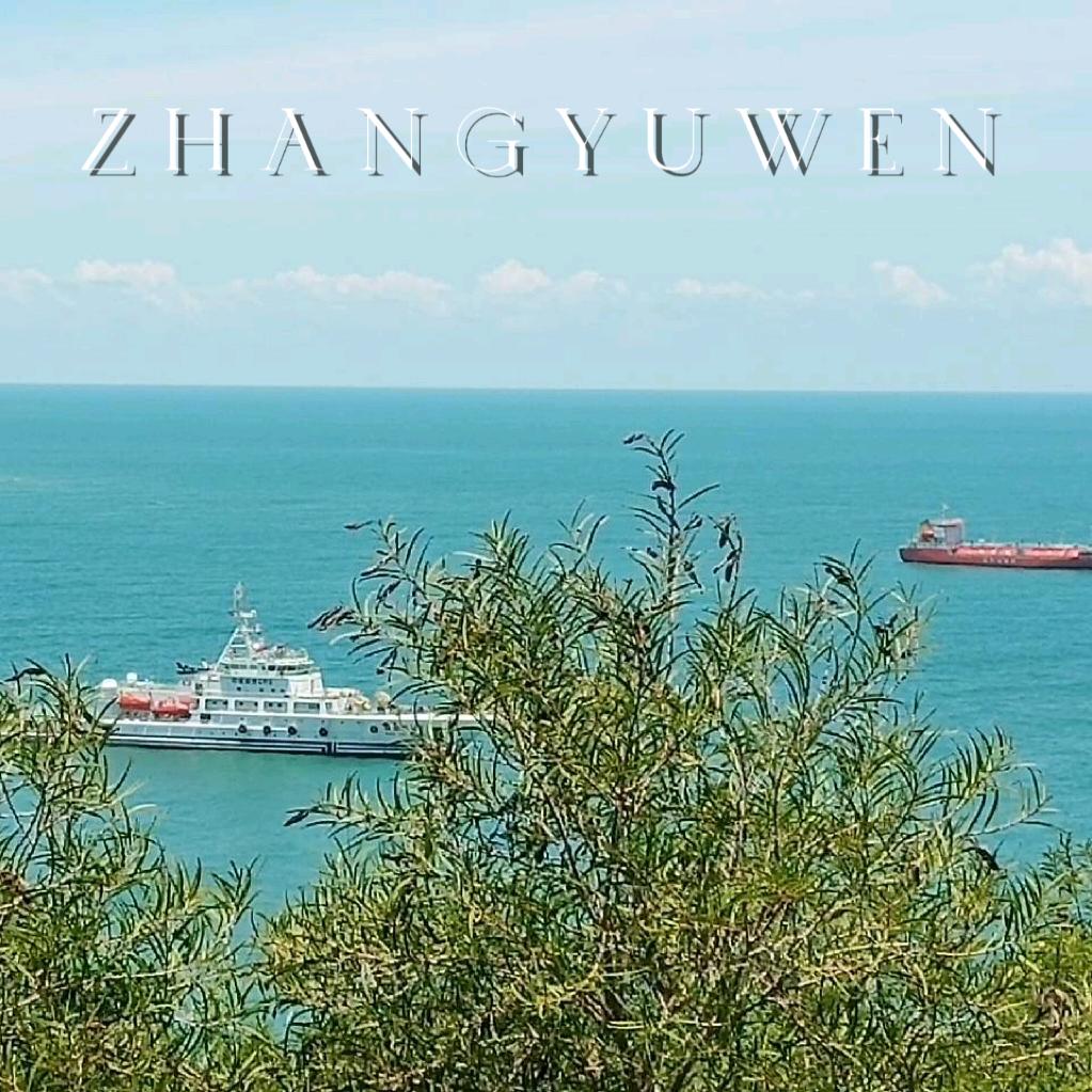桂E张煜文
