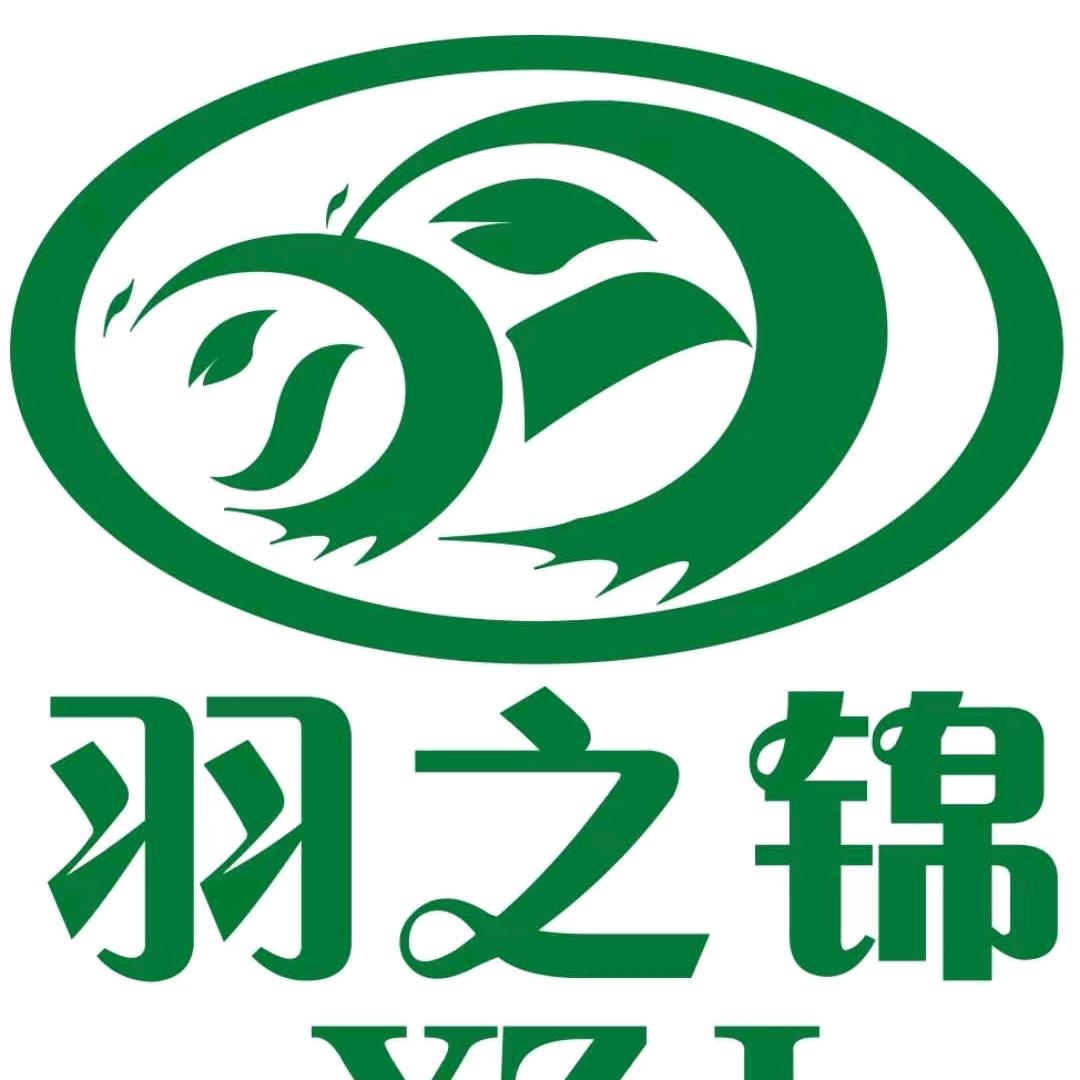 杨宇绿头鸭皖普鹅批发