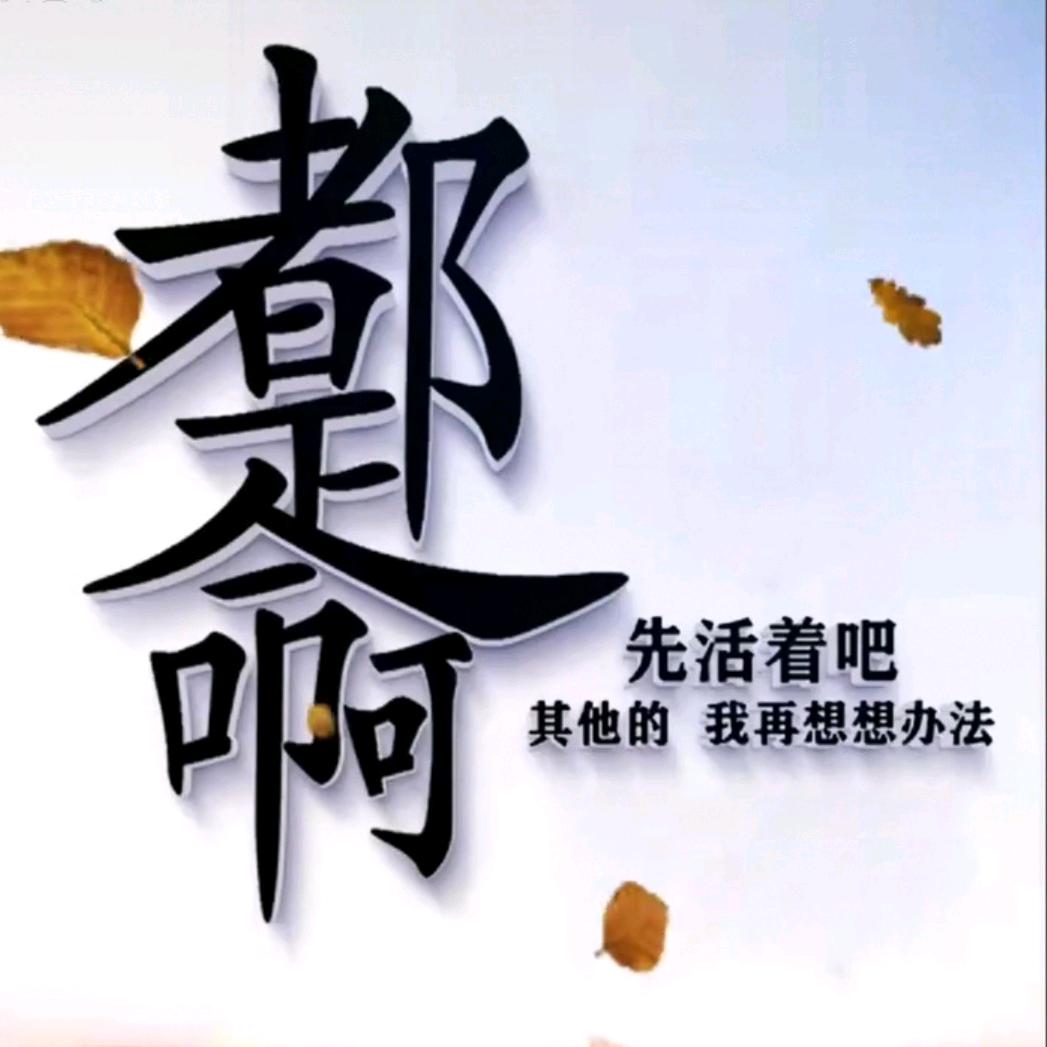 东亮驾校赵教练