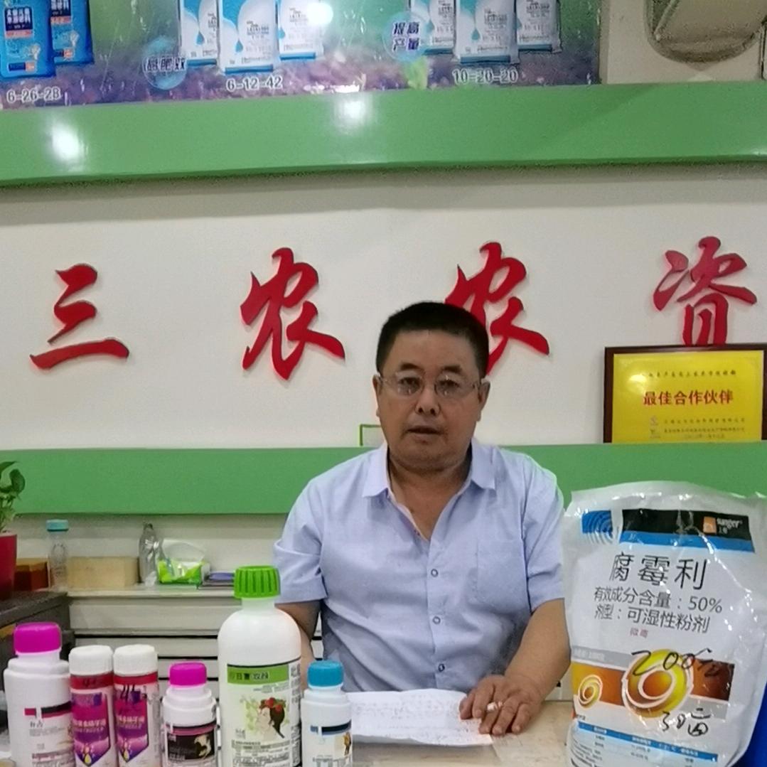杨立宏