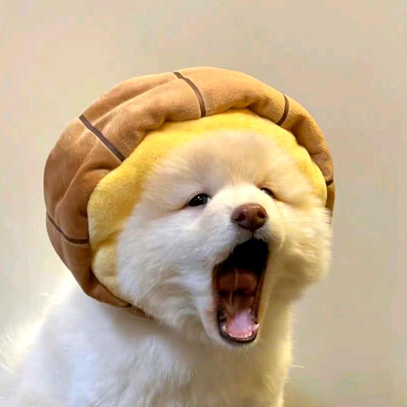 今天的梨子赶稿了吗