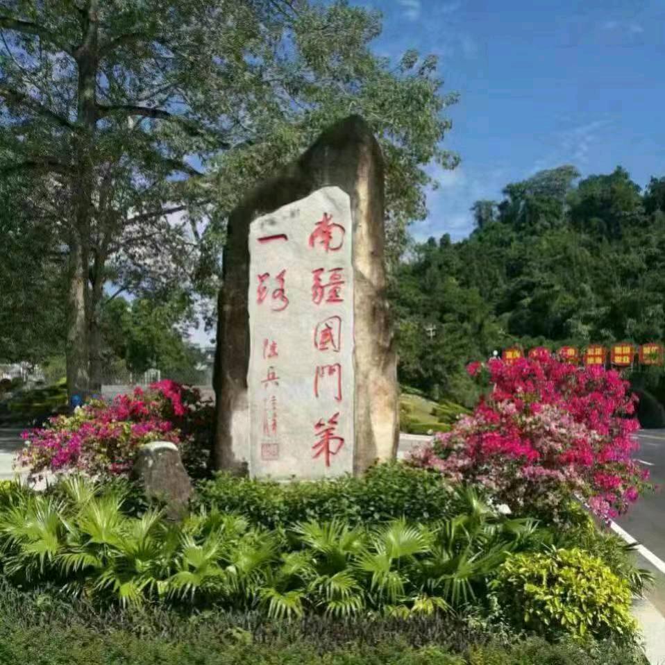 梦的飞翔