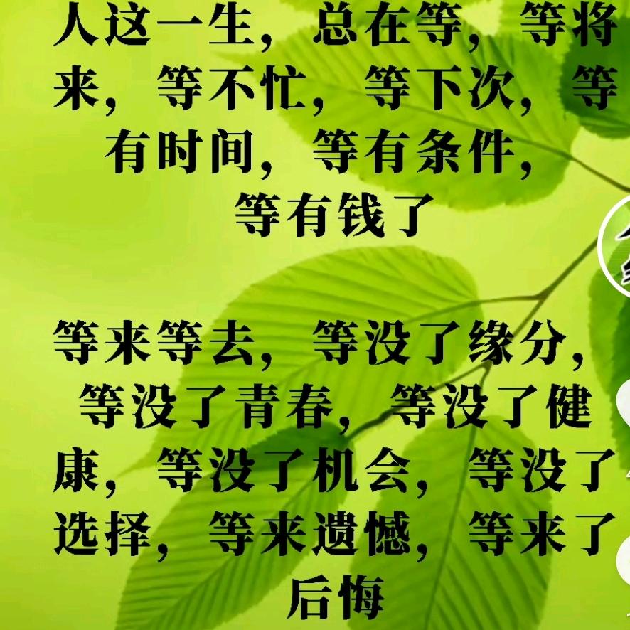 琼姐