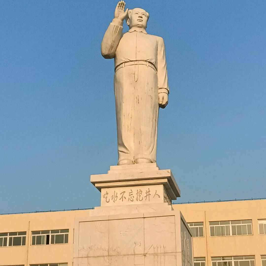 随风去流浪