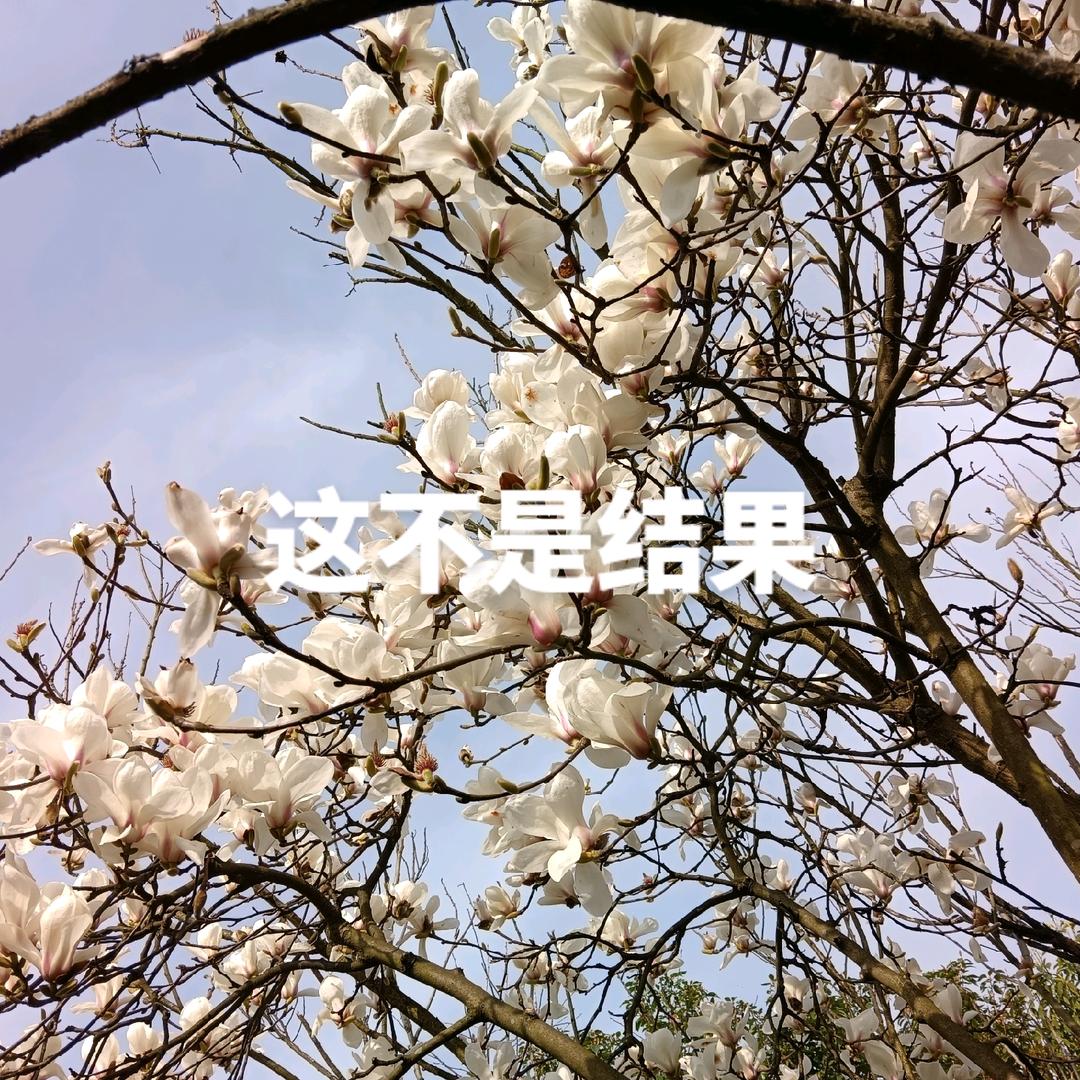 一定要爱你