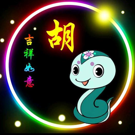 专业年审货车🚚