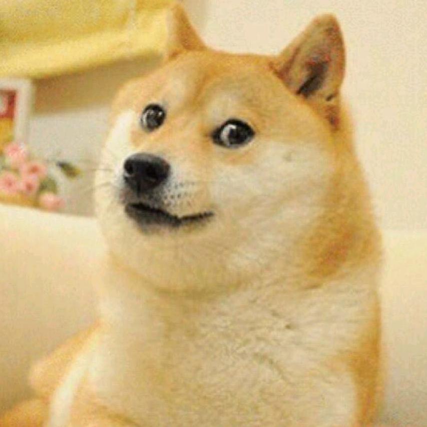 磊子