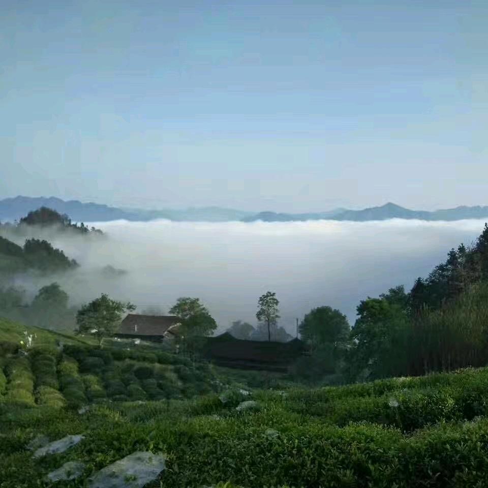 @海阔天空