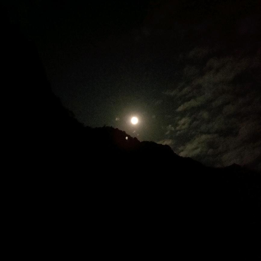 ㅤ                ㅤ