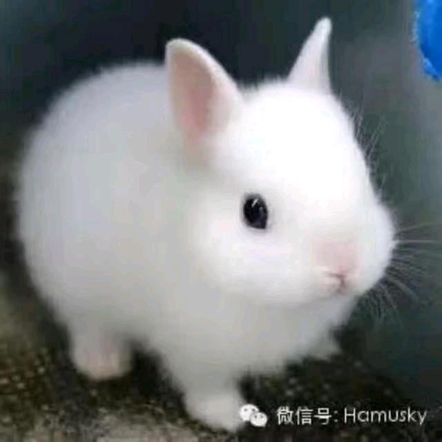 学会淡忘