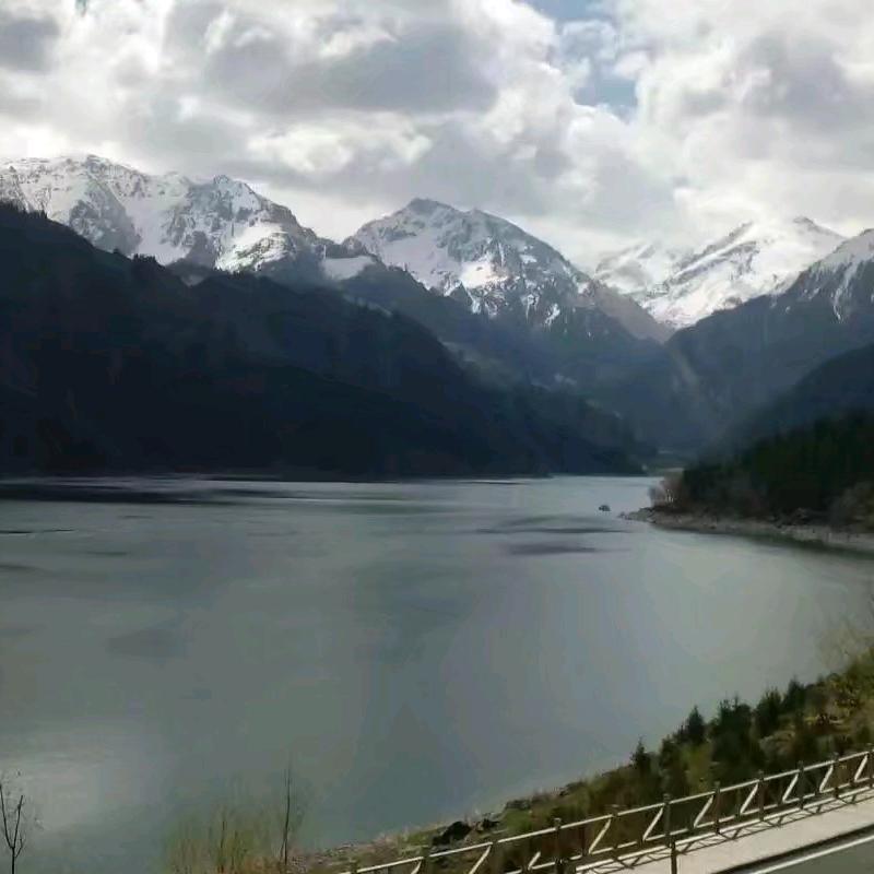閻仯85651