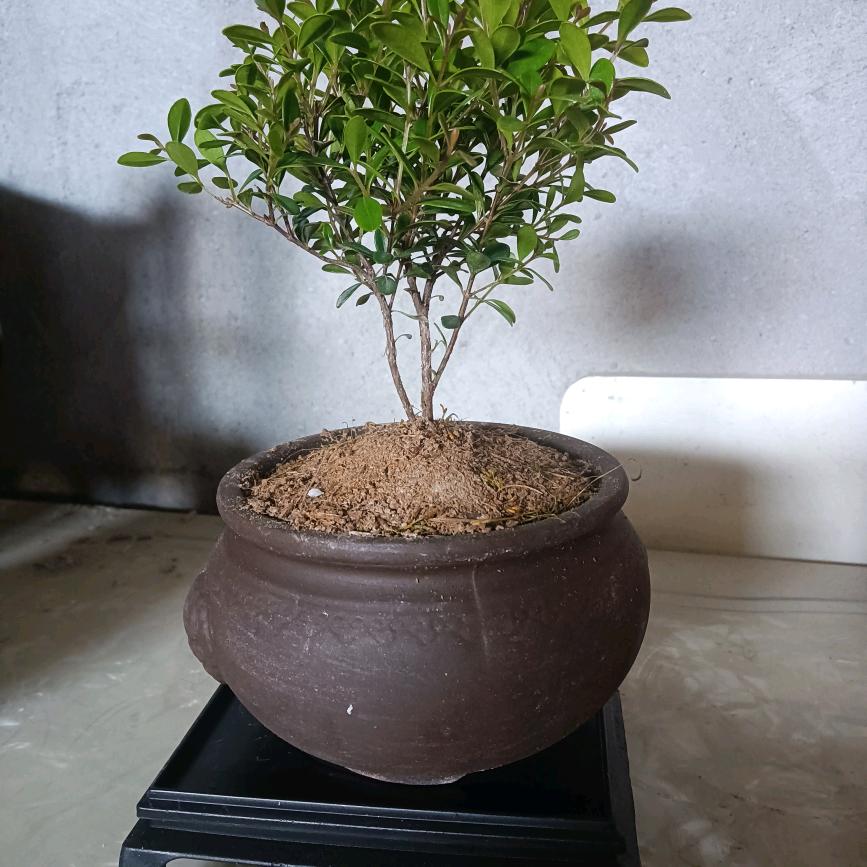 爱恨情缘