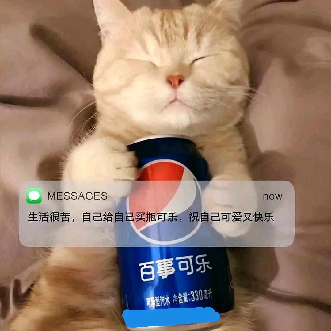 我不逗比怎么引你注意