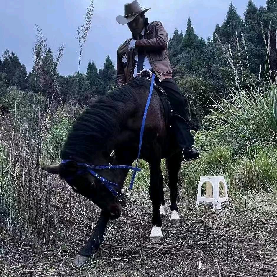 天下名马养殖基地卖马