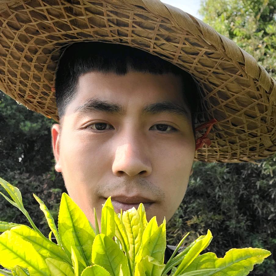 山水茶马哥(安吉白茶)源头
